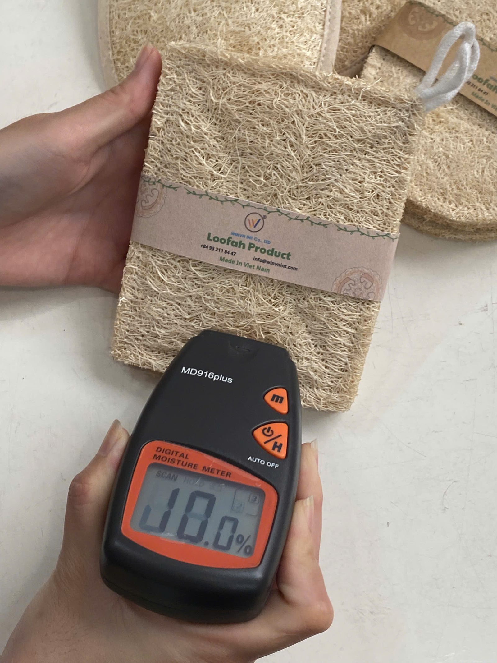 Digital moisture meter showing 10% moisture level on natural loofah sponge, below the 12% export standard