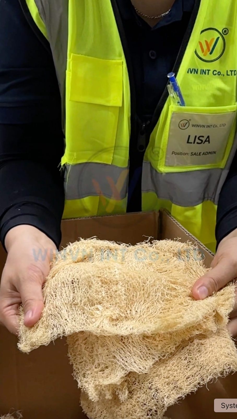 WINVN team member inspecting raw natural loofah fiber before processing