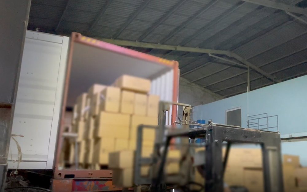 Loading export cartons of natural loofah products into a container