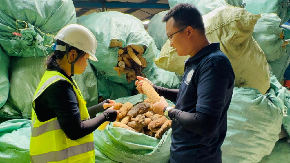 WINVN team members sorting and inspecting raw dried loofah after harvest